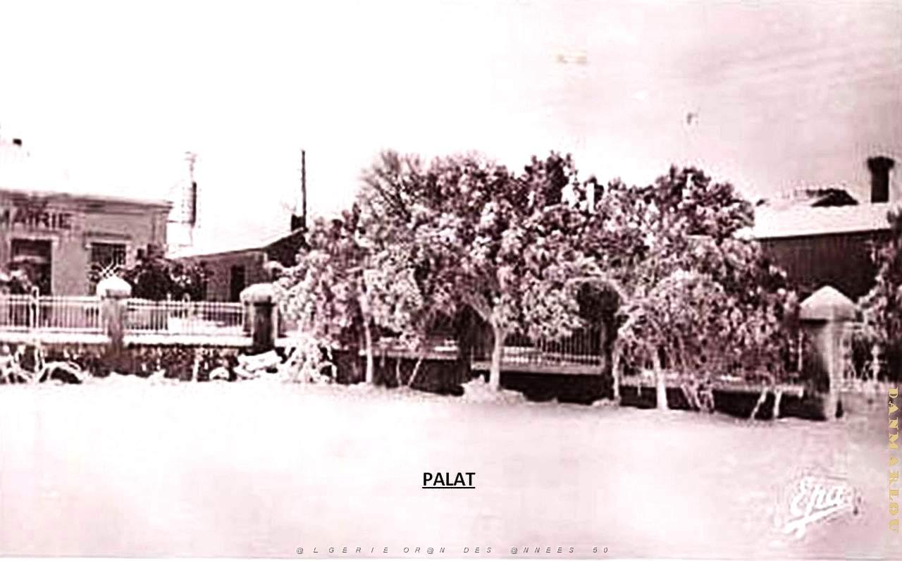 Palat 100.jpg
